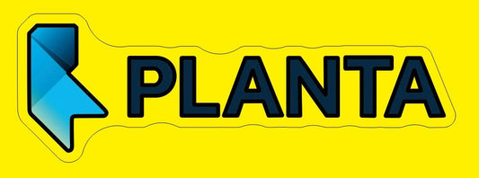 Personalisierbares Neon - LED - Schild in Pink, ideal als Wanddekoration für Wohnzimmer oder Geschäftsräume